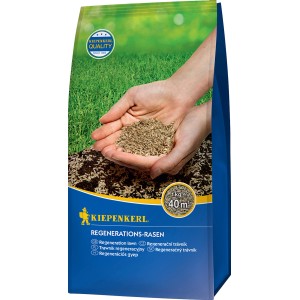 Kiepenkerl Regenerations-Rasen 1kg: Rasensamen in Händen über Aussaatfläche, für dichten, widerstandsfähigen Rasen.