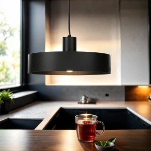 Licht-Erlebnisse Pendelleuchte Rund Ø 35 cm Metall Schwarz E27 Retro Design