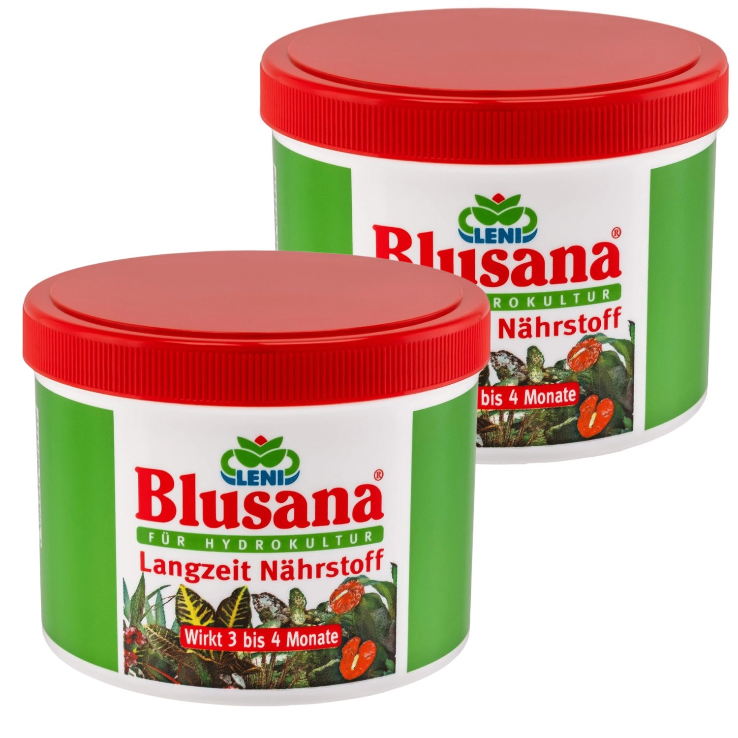 Blusana Hydrokultur Langzeitdünger Lewatit HD 50 NPK Dünger Zierpflanzen 1 günstig online kaufen