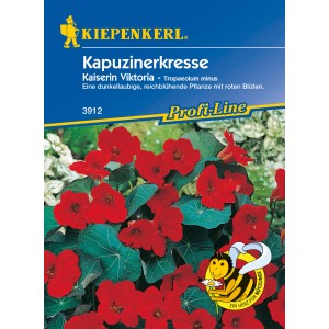 Kiepenkerl Kapuzinerkresse Kaiserin Viktoria Rot: Dunkellaubige, reichblühende Blumensamen mit roten Blüten.