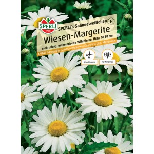 Sperli Saatgut Wiesen-Margerite SPERLI's Schneeweißchen