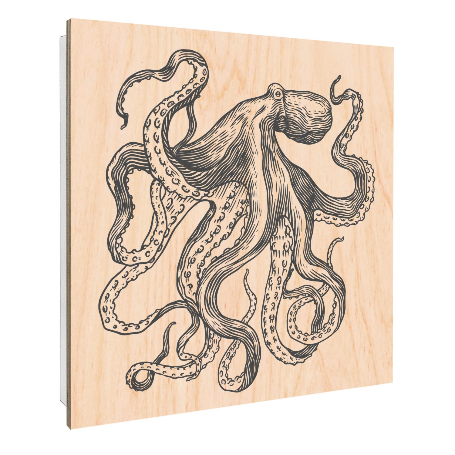 Banjado Großer Schlüsselbox Holz 30x30cm Weiß Scharnier Rechts 50 Haken Sch günstig online kaufen