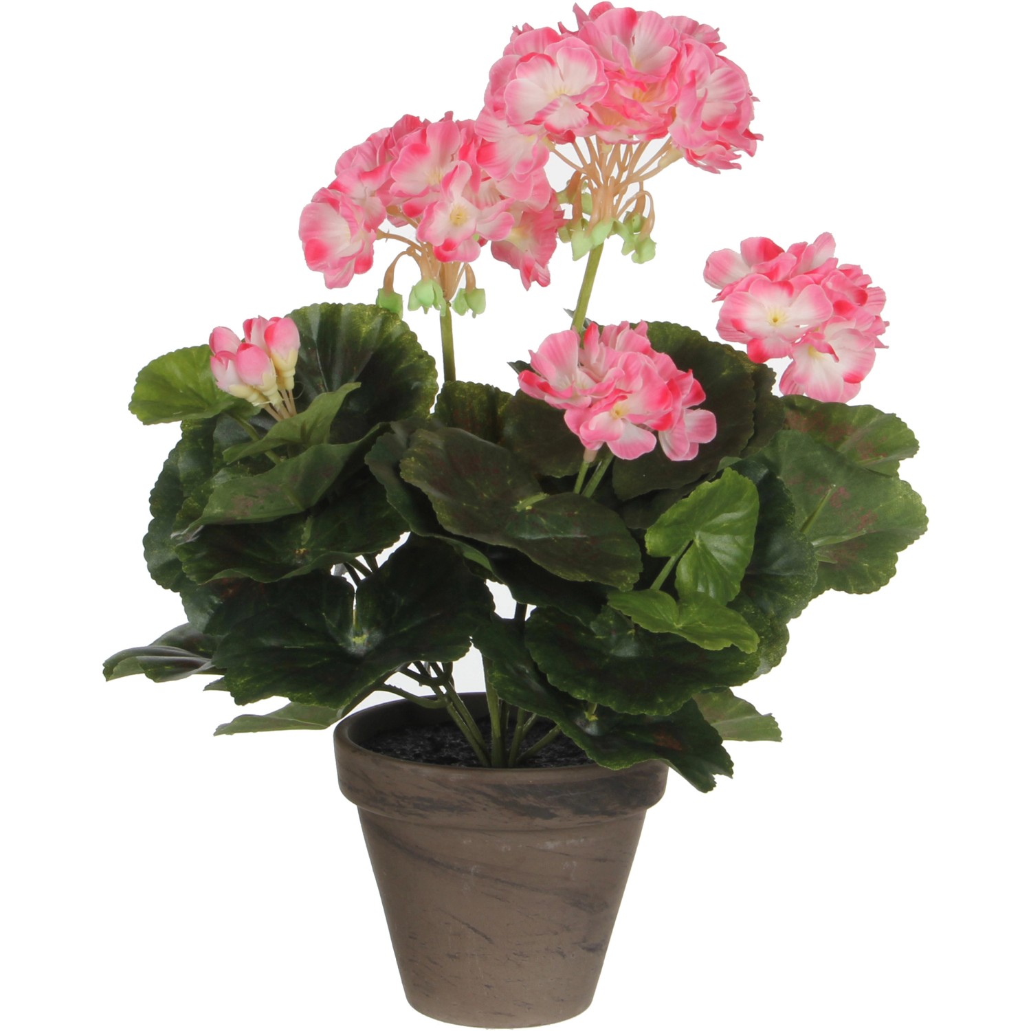 Mica Decorations Geranium Rosa-Weiß Höhe 34 cm Ø 20 cm im Topf Stan Grau