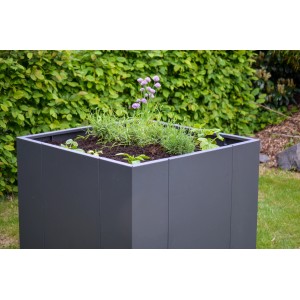 Anthrazitfarbenes Eleo Hochbeet Monterosso 90x90x68 cm aus Metall mit Bepflanzung im Garten.