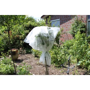 Pflanze mit Videx Winterschutz Vlies im Garten, schützt vor Frost und Wind.