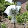 Pflanze mit Videx Winterschutz Vlies im Garten, schützt vor Frost und Wind.