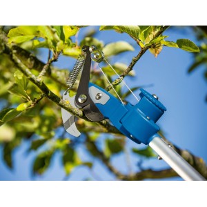 LUX-TOOLS Baumschere mit Säge, teleskopierbar, schneidet Ast am Baum.