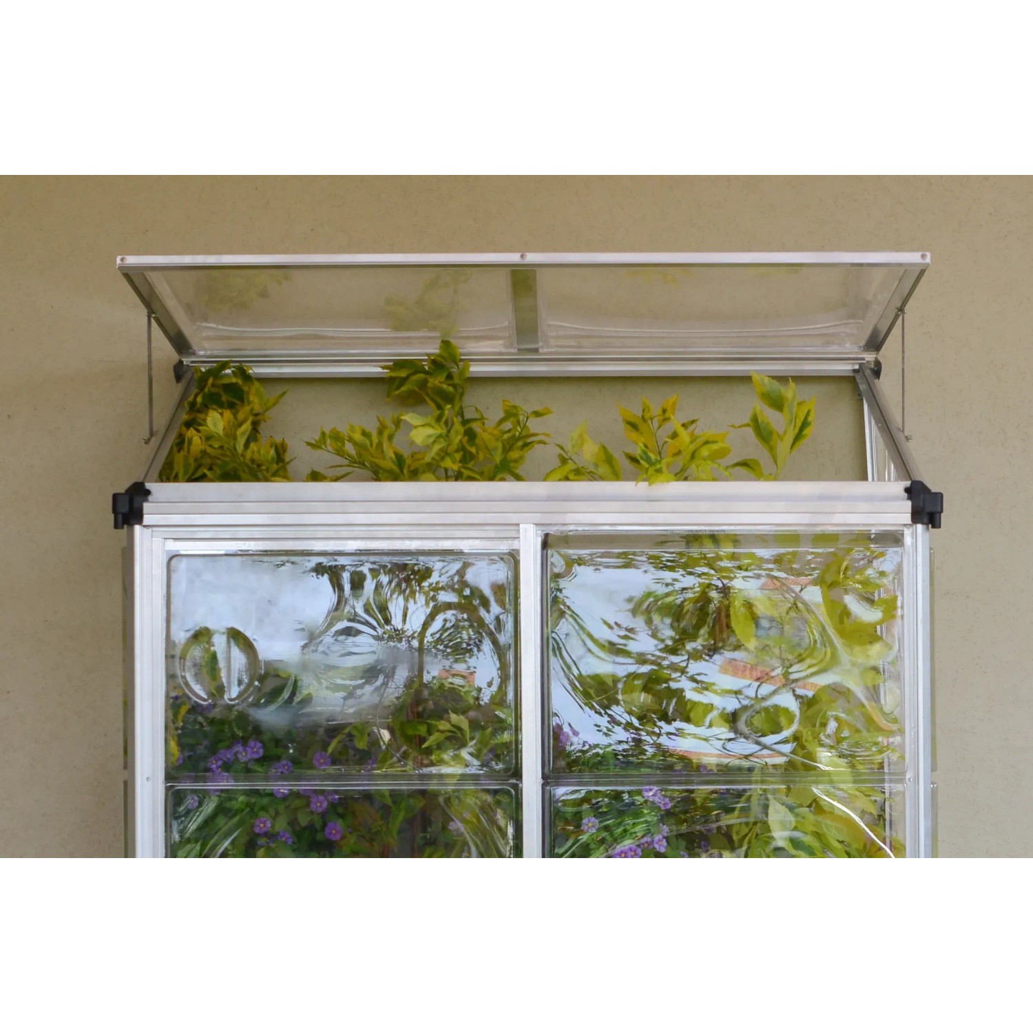 Palram Canopia Minigewächshaus Lean To, 125x64 cm, silber, mit Pflanzen.