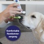 Canosept Zahnpflege-Set für Hunde: Zahnpasta wird auf Zahnbürste aufgetragen.