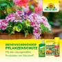 Neudorff Xentari RaupenFrei 6 g_4
