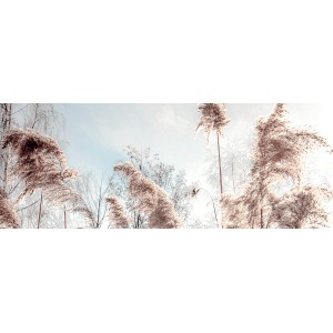 Deco Panel Anonymus Dried Fiber, 117x49 cm, mit getrockneten Gräsern im Winterlook.