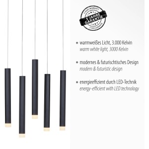 Schwarze, 10-flammige LED-Pendelleuchte Bruno, 89x120cm, für Wohnräume.