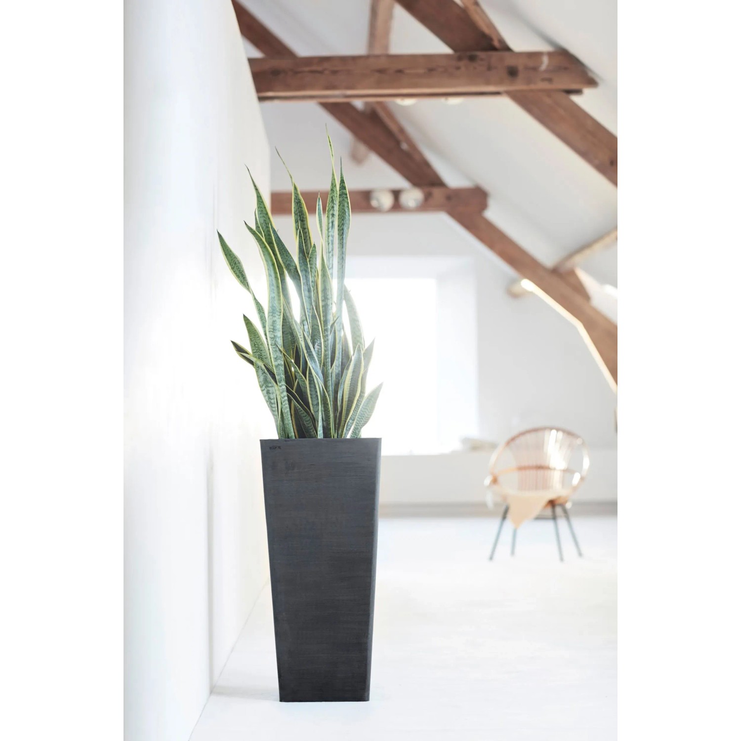 Ecopot Pflanztopf hoch Rotterdam Dunkelgrau 70 cm kaufen bei OBI