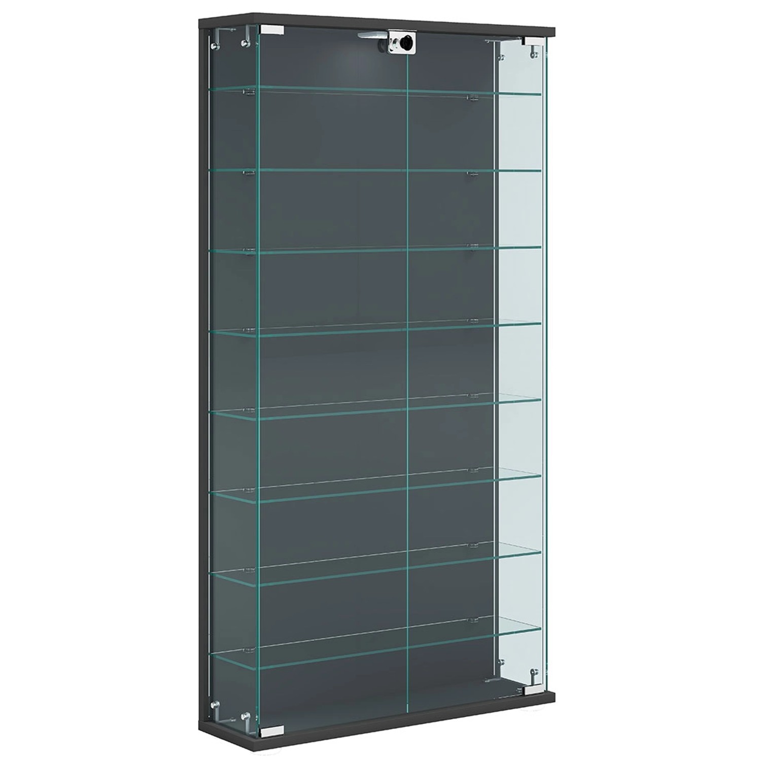 ebuy24 RelasL Vitrinenschrank Wandhängend 2 Türen Anthrazit günstig online kaufen