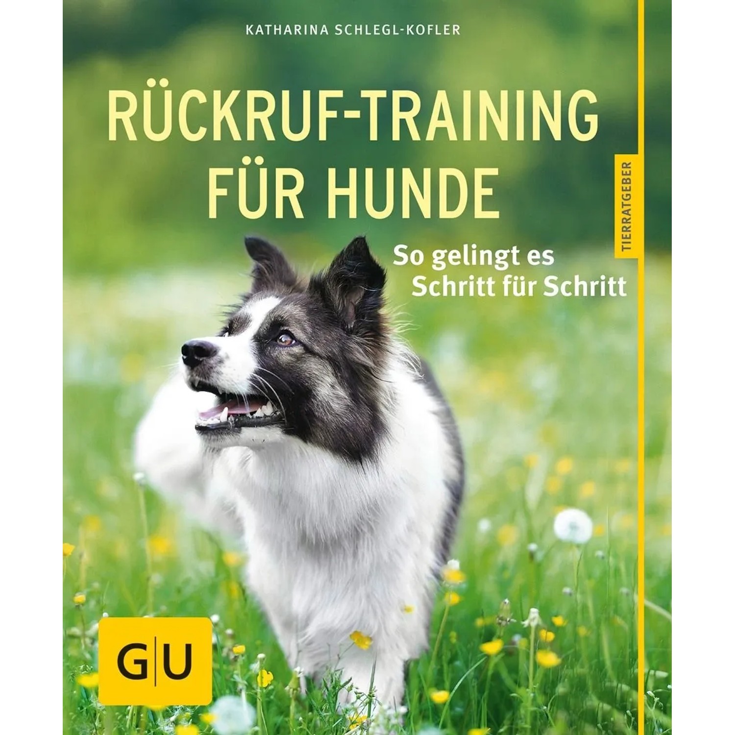Rückruf-Training für Hunde