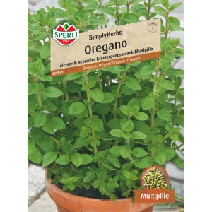 Sperli Oregano SimplyHerbs Multipille im Topf, ein mediterraner Kräuterklassiker für Garten und Küche.