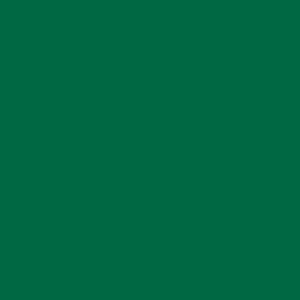 Grüne, matte OBI Color Voll- und Abtönfarbe, 500 ml.