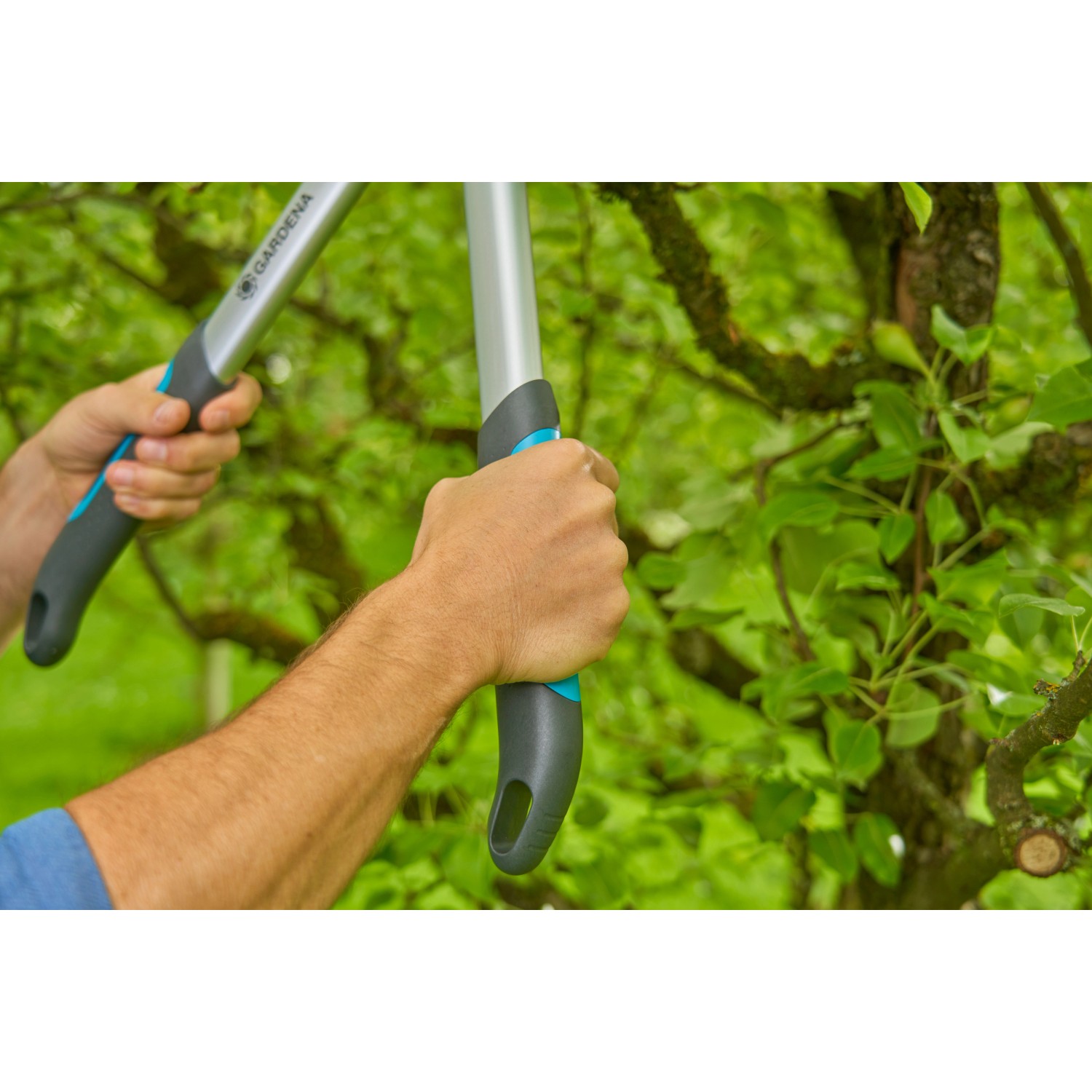 Gardena Astschere EasyCut S BypassSchneidprinzip kaufen bei OBI