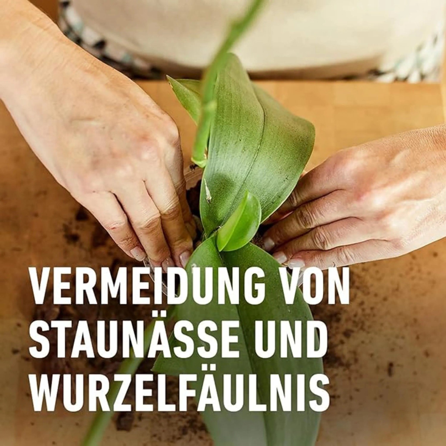 künstlicher blumentopf Künstlicher Palmfarn – Alamea | 75 cm