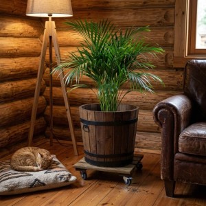 Rustikaler HolzFee Pflanzkübel Dunkel Walnuss aus Kiefernholz mit Pflanze auf Pflanzenroller im Holzambiente.