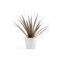 Ecopots Amsterdam Mini, weißer Pflanztopf (13x11,4cm) mit Pflanze, ideal für Innenräume.