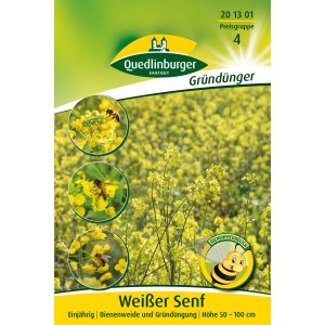 Quedlinburger Gelbsenf Großpackung: Gründüngung mit gelben Blüten und Bienen.
