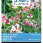 Duftwicke 'Unwin's Striped' Buzzy Climbing Flowers Samen Circa 4 g Rot-rosa Gestreifte Blüten