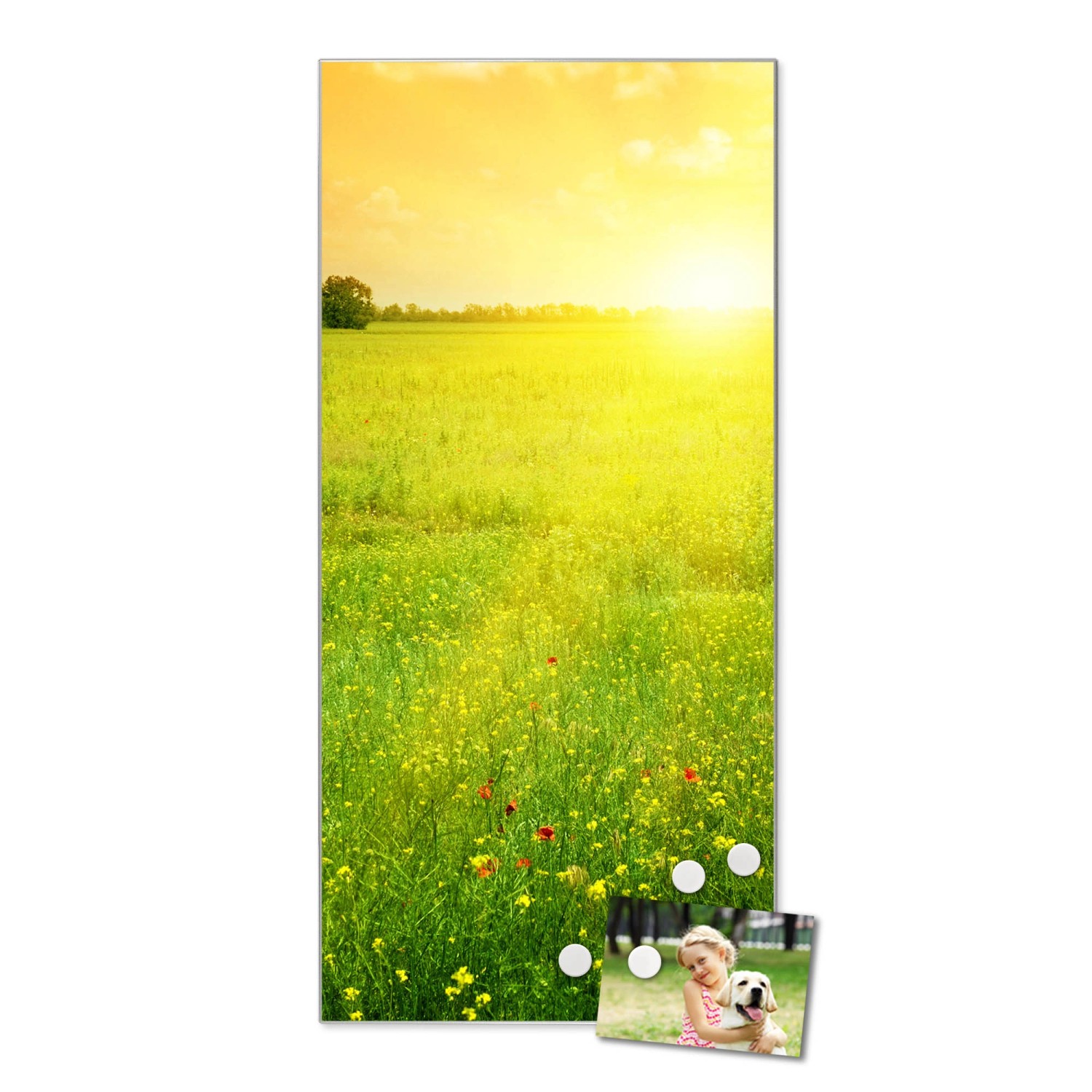 Banjado Magnettafel mit Landschaftsmotiv, silberne Magnetwand für Notizen und Fotos, inkl. Magnete.