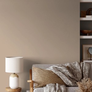 Wand in Waldpilz-Beige mit V&CO Premium-Innenfarbe. Matte, elegante Wohnraumgestaltung.