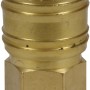 Einhell Schnellkupplung R 1/4 Innengewinde aus Metall für Kompressoren.