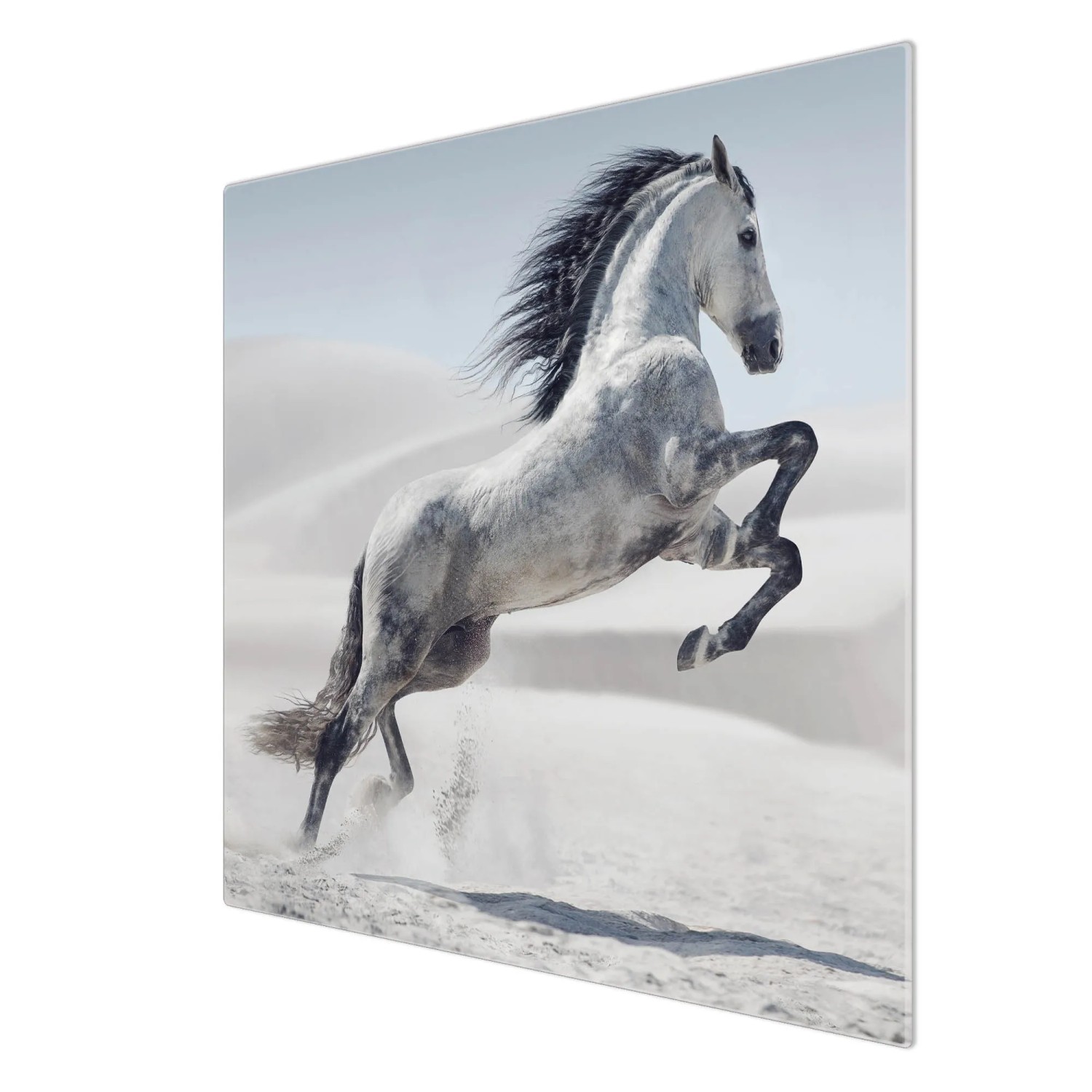 Banjado Herdabdeckplatte Glas mit Wildpferd Motiv, 60x52cm, auch als Schneidebrett nutzbar.