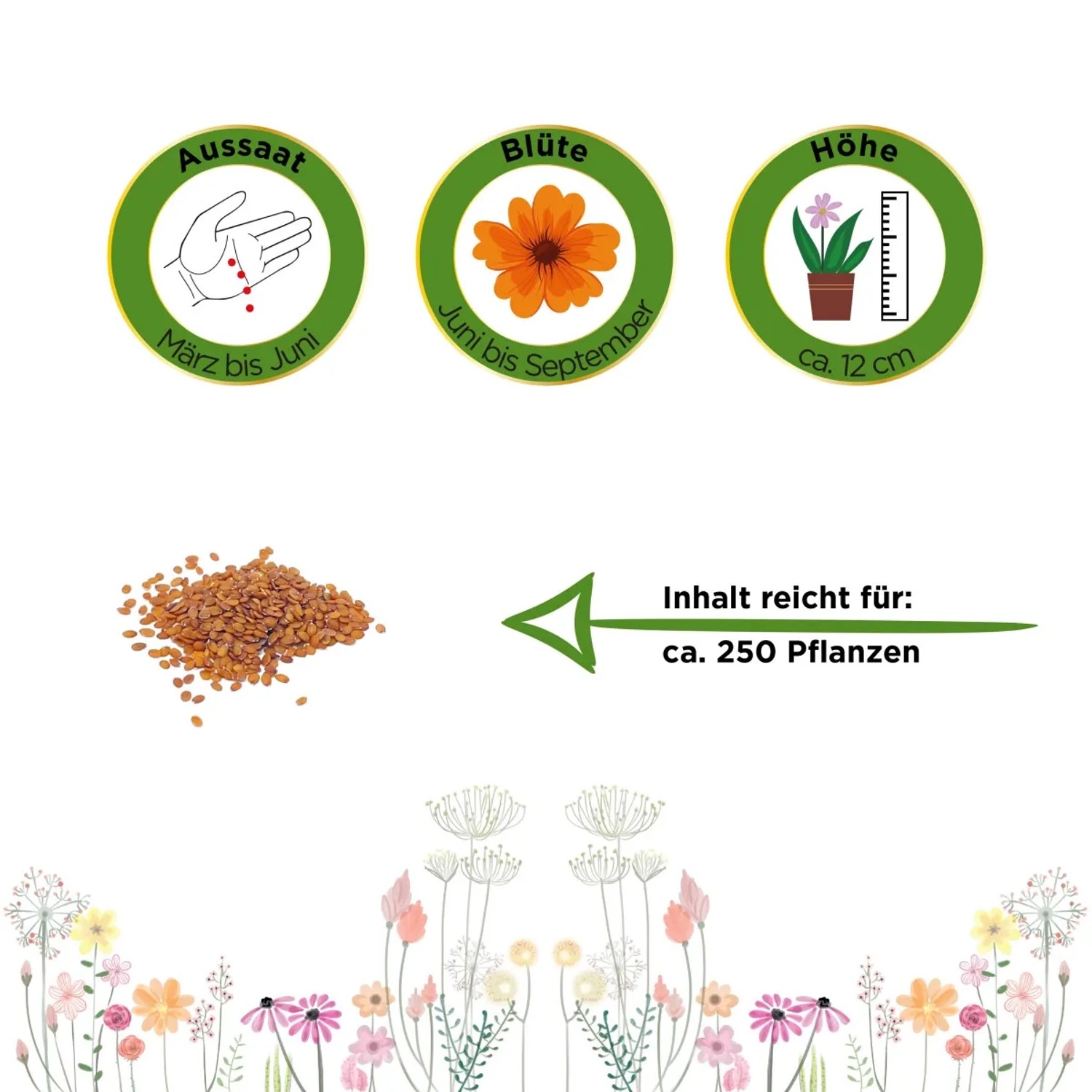 Steinkraut Schneedecke Samen: Infos zu Aussaat, Blütezeit und Höhe der Polsterblume.