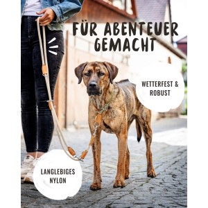 Beige, verstellbare Rudelkönig Hundeleine Emma aus Kletterseil mit Lederdetails und Hund.