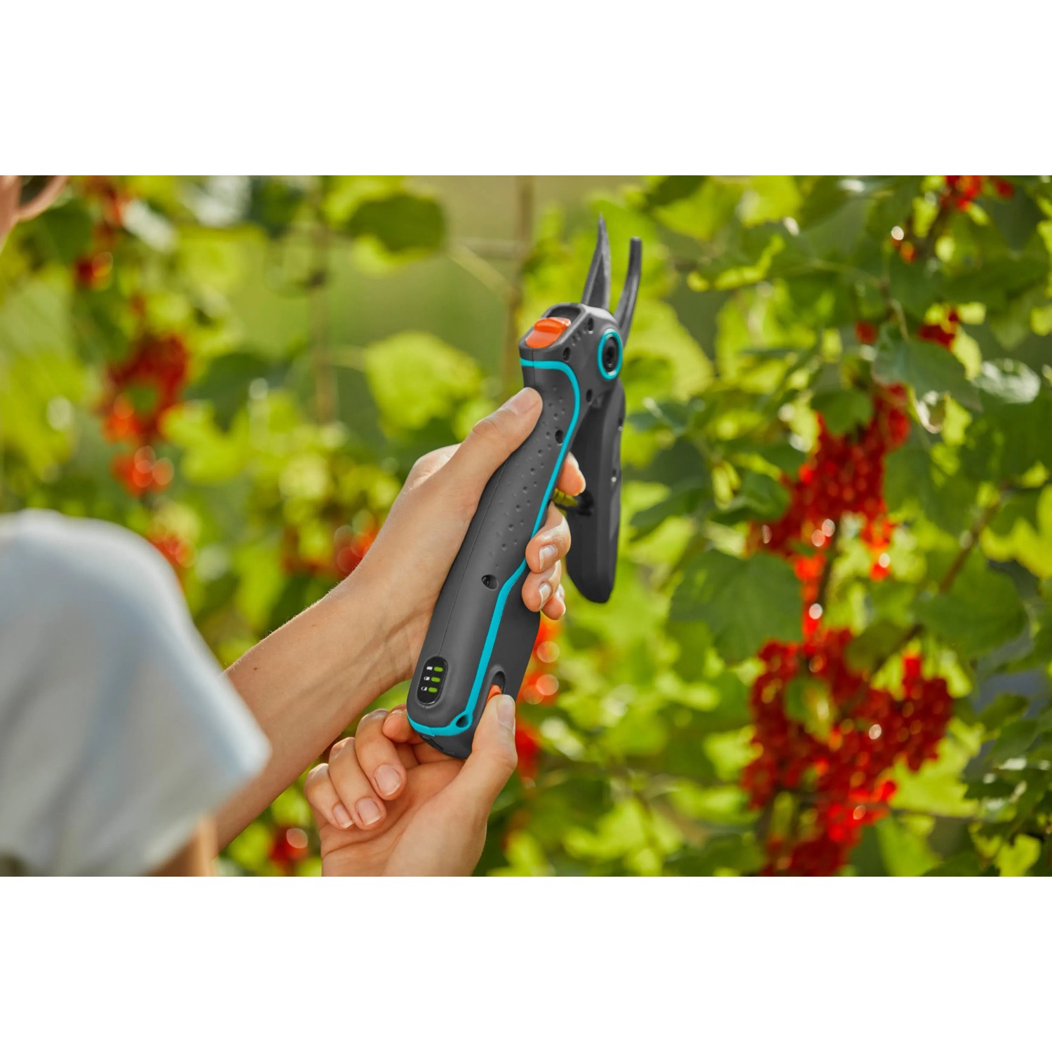 Gardena Assistcut Gartenschere in Aktion: Batterieunterstützte Schere schneidet Zweig.