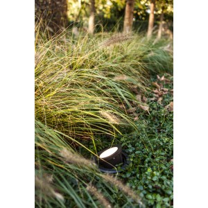 Lutec Arctic LED Bodeneinbaustrahler im Garten, schwenkbarer Kopf leuchtet zwischen Pflanzen.