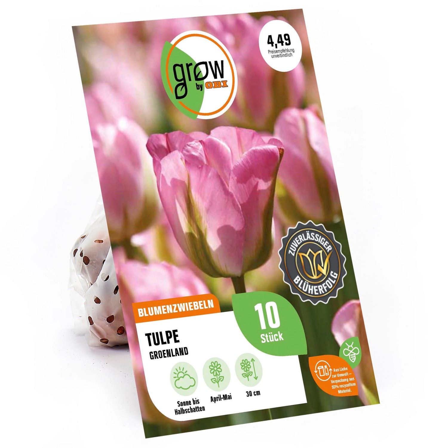 GROW by OBI Tulpe China Town Rosa-Weiß-Grün 8 Stück Tulipa viridiflora Chin günstig online kaufen