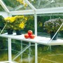 Vitavia Alu-Regal, abklappbar, für Hera 4500 Gewächshaus, mit Pflanzen und Tomaten dekoriert.
