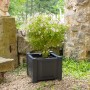 Quadratischer, anthrazitfarbener KHW Pflanzkasten mit Pflanze im Garten.