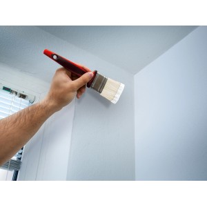 Hand streicht Wand mit Flachpinsel aus dem 6-teiligen Pinsel-Set. Roter Kunststoffgriff.