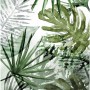 Art for the Home Fototapete mit Monstera-Motiv in Grüntönen.