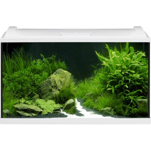 Eheim Aquarium-Set Aquapro LED 126, weiß, bepflanzt mit Steinen, 126 Liter.