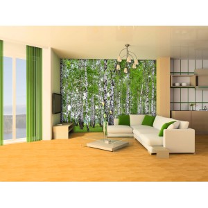 Sanders Fototapete „Bewaldete Landschaft“ (360x270 cm) im Wohnzimmer. Grüne Bäume dominieren das Bild.