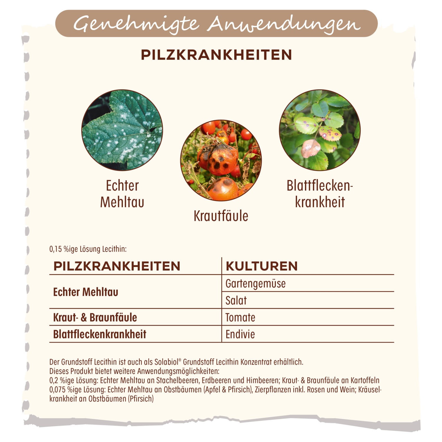 Anwendungsbeispiele Solabiol Lecithin Spray gegen Pilzkrankheiten wie Mehltau und Krautfäule.