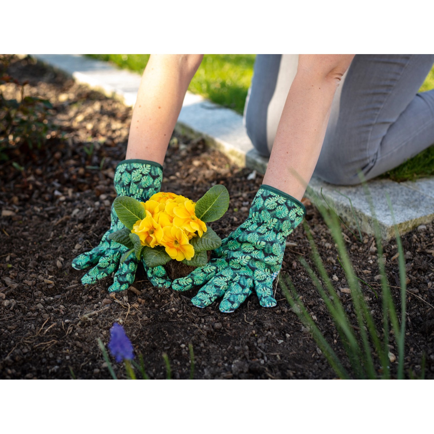 Gartenarbeit mit Baumwollhandschuhen (3er-Set, Gr. 8) beim Einpflanzen einer gelben Blume.