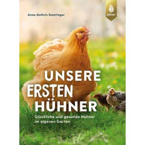 Unsere ersten Hühner