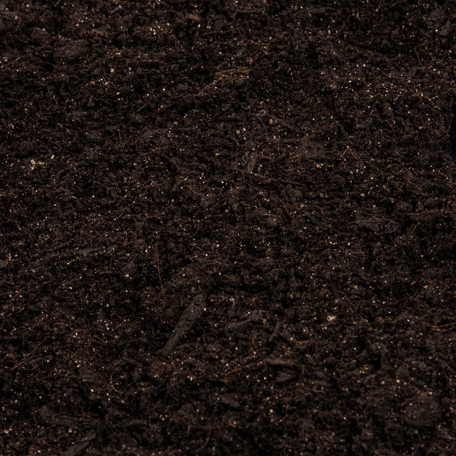 Nahaufnahme: Dunkle, krümelige Compo Sana Pflanzerde, ideal für Garten und Kübel.