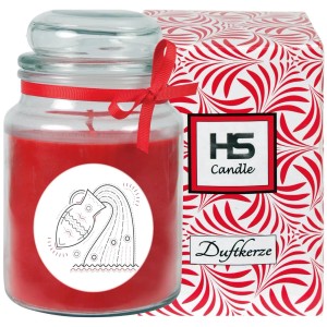 HS Candle Duftkerze Sternzeichen Wassermann im Glas mit Geschenkverpackung.