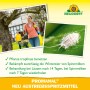 Neudorff Promanal Neu Austriebsspritzmittel: Frau beim Spritzen von Obstbaum, Detailaufnahme Spinnmilbe.