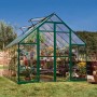 Palram Canopia Balance Gewächshaus 8x12, grüne Rahmen, klare Polycarbonat-Wände, Pflanzen im Inneren.