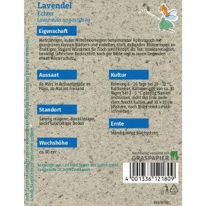 Grüne Fee Lavendel Echter Samen, Packung mit violetten Blüten, geeignet für ca. 50 Pflanzen.